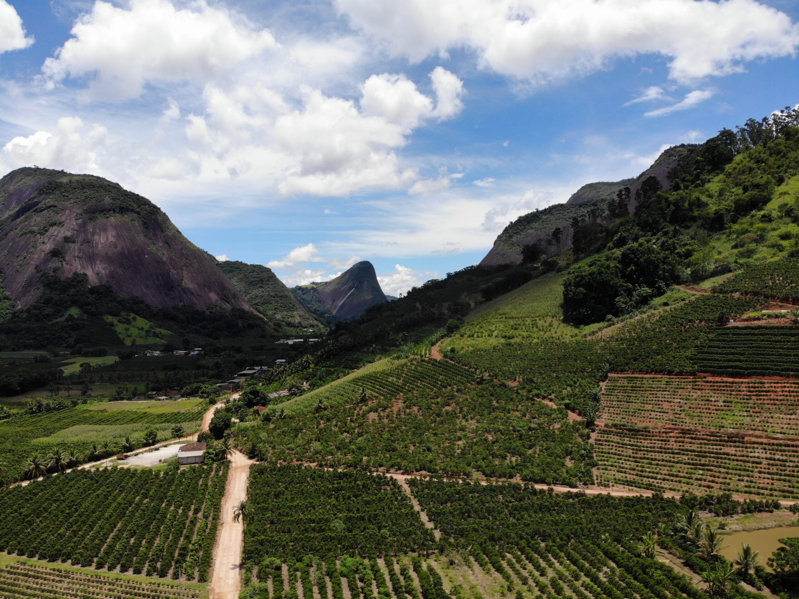 created by dji camera