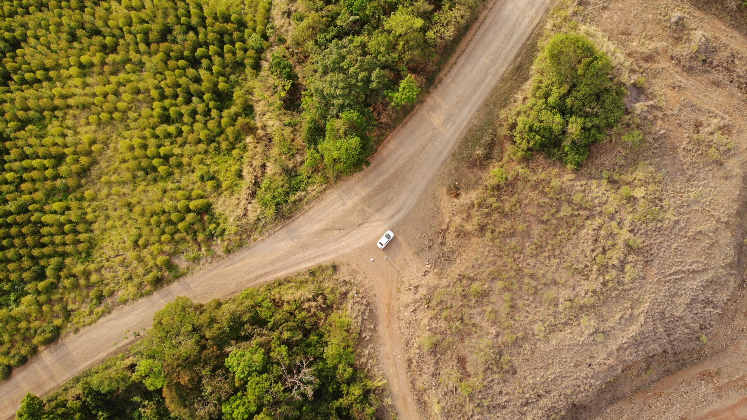 created by dji camera