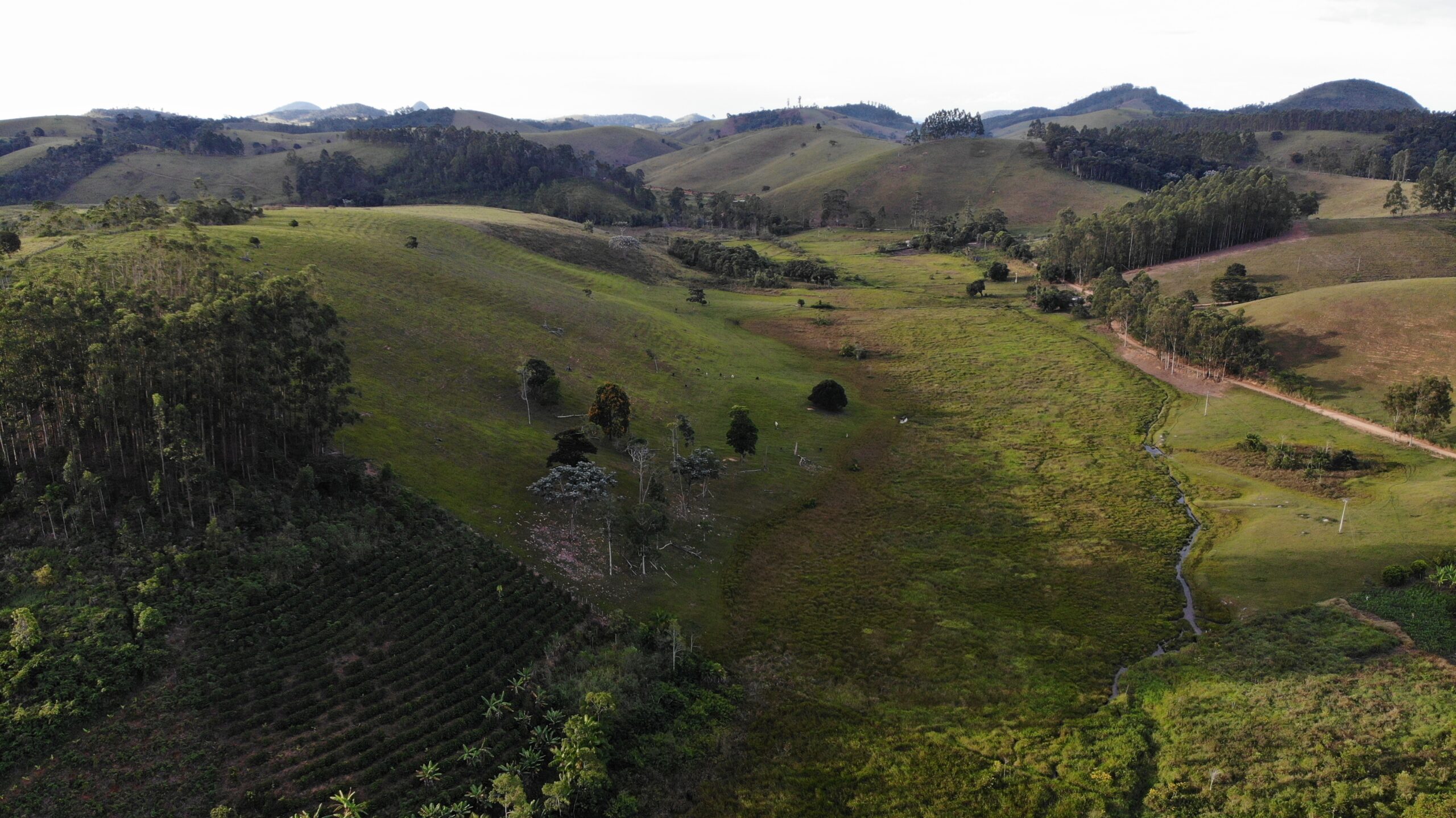 created by dji camera